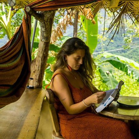 Sol De Minca Eco Lodge المظهر الخارجي الصورة
