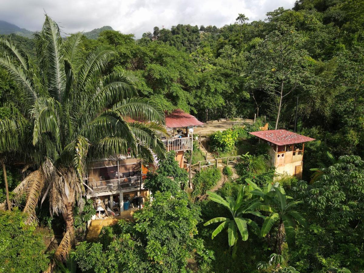 Sol De Minca Eco Lodge المظهر الخارجي الصورة