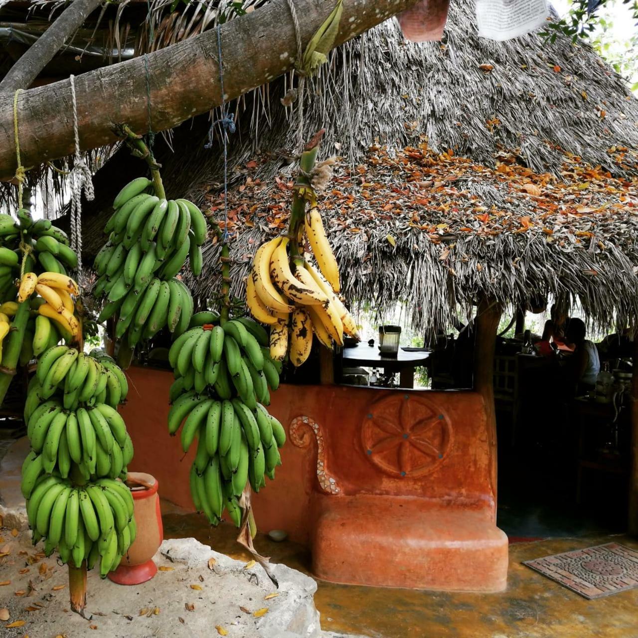 Sol De Minca Eco Lodge المظهر الخارجي الصورة