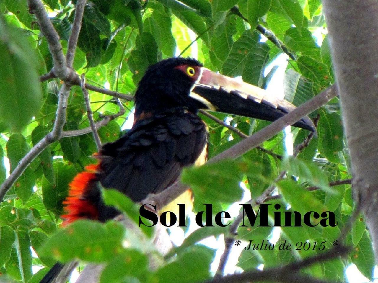 Sol De Minca Eco Lodge المظهر الخارجي الصورة