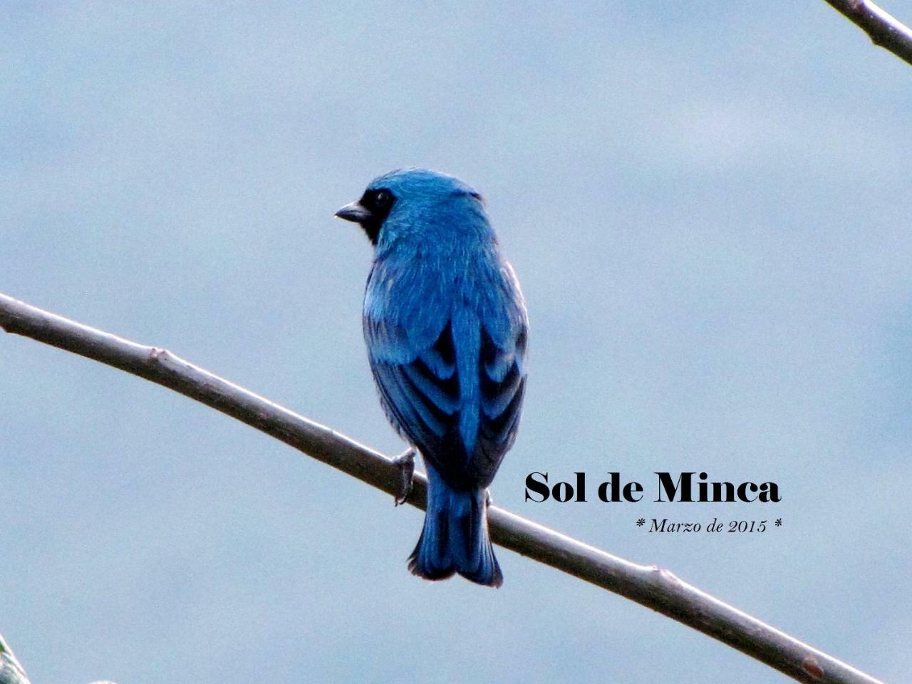 Sol De Minca Eco Lodge المظهر الخارجي الصورة